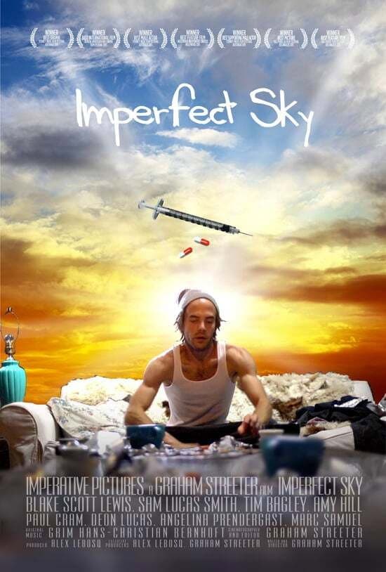 Poster di Imperfect Sky