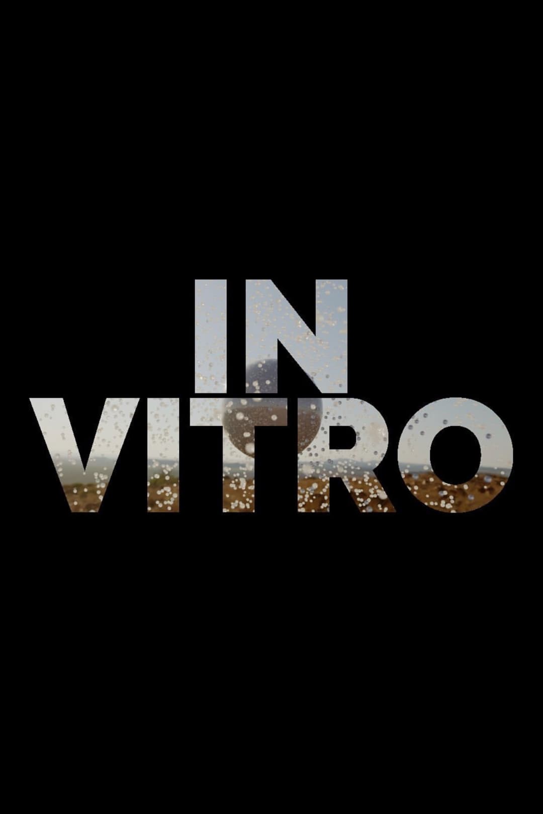 Poster di In Vitro