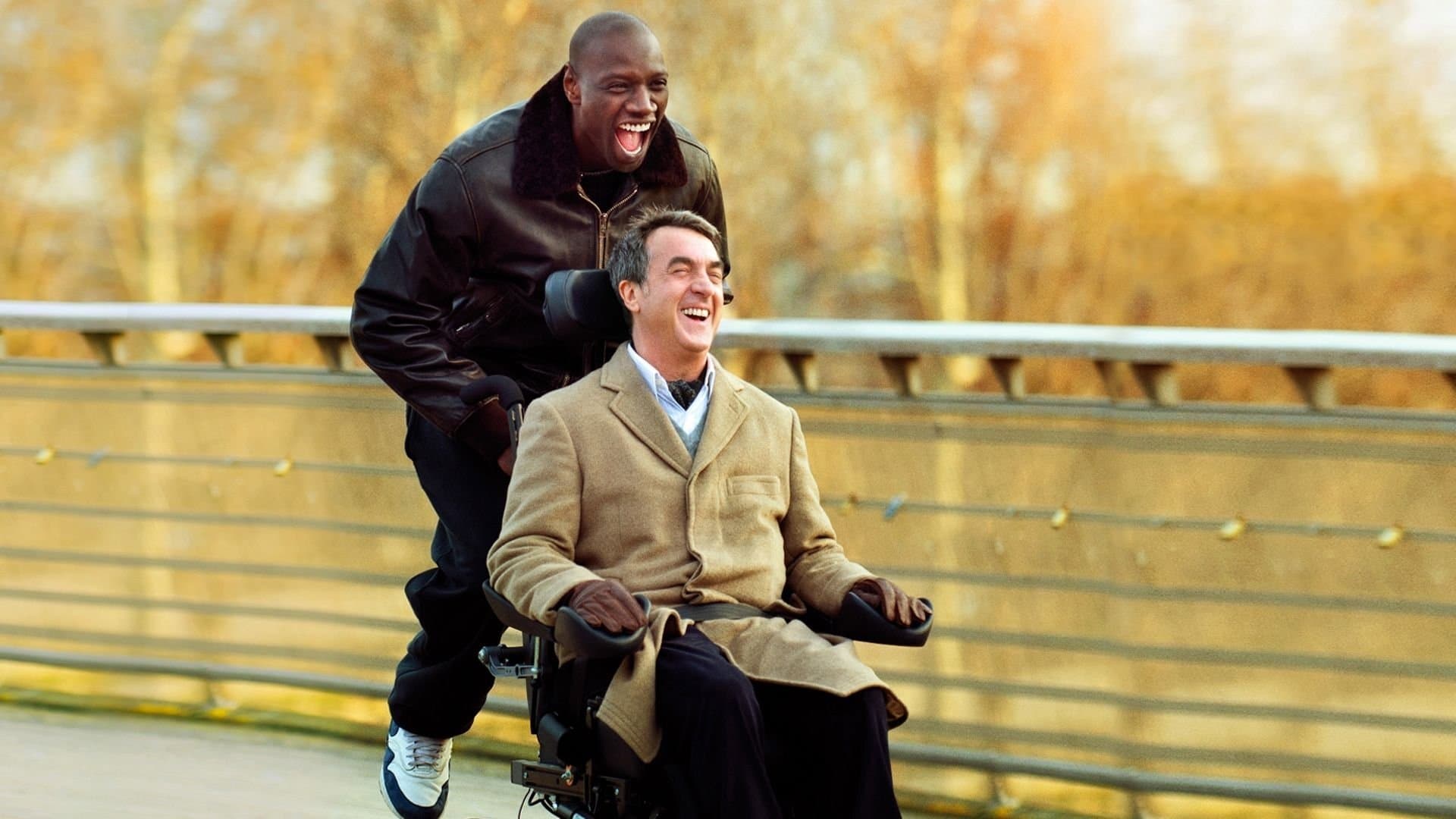 Quasi amici - Intouchables - immagine