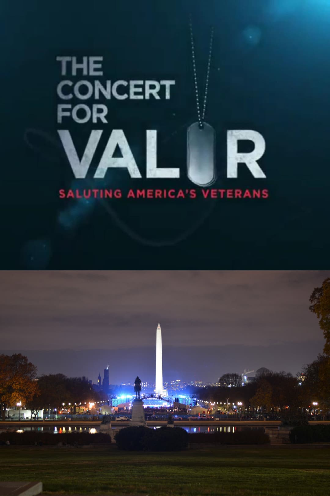 Poster di The Concert for Valor