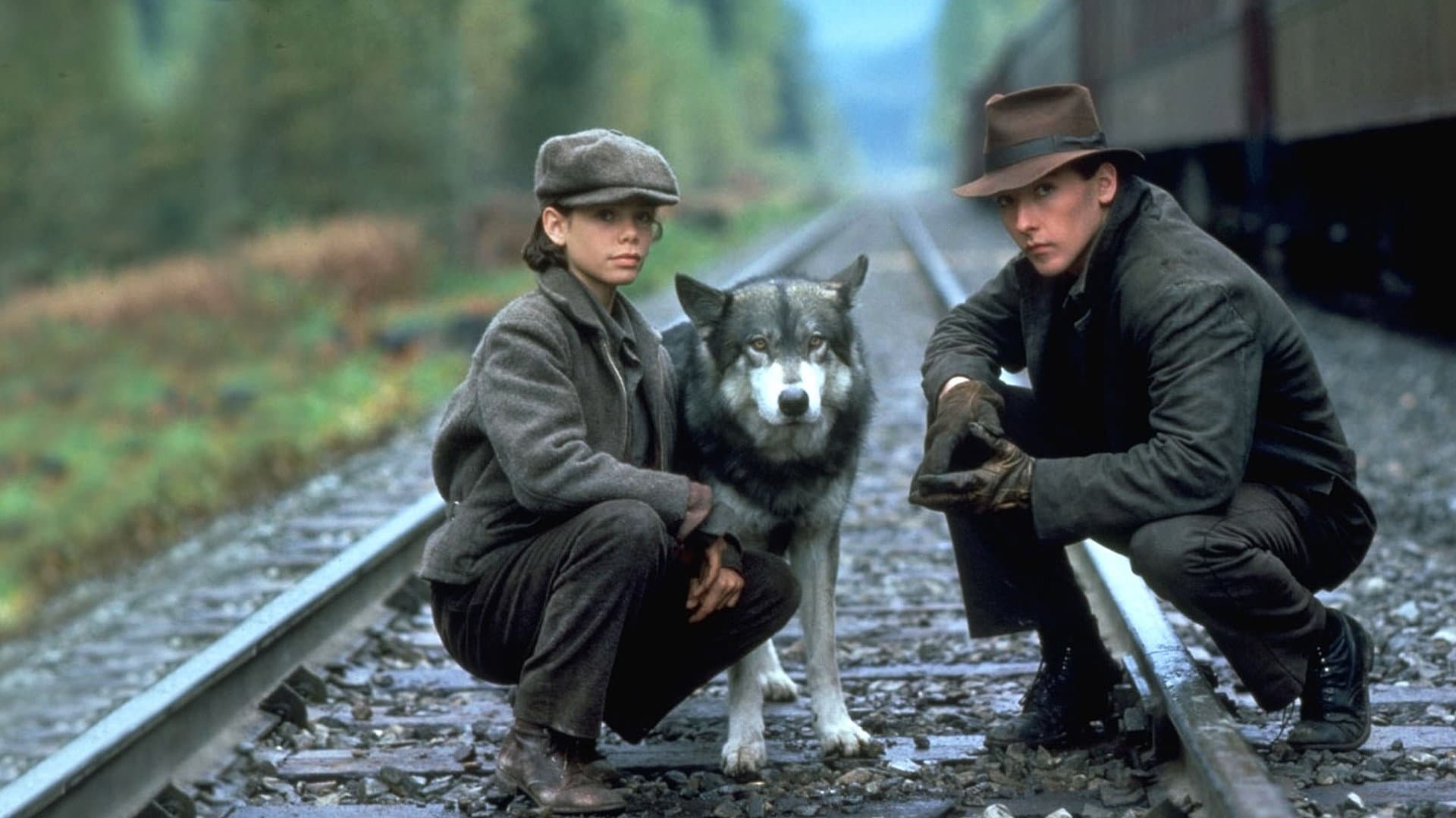 Il viaggio di Natty Gann - immagine