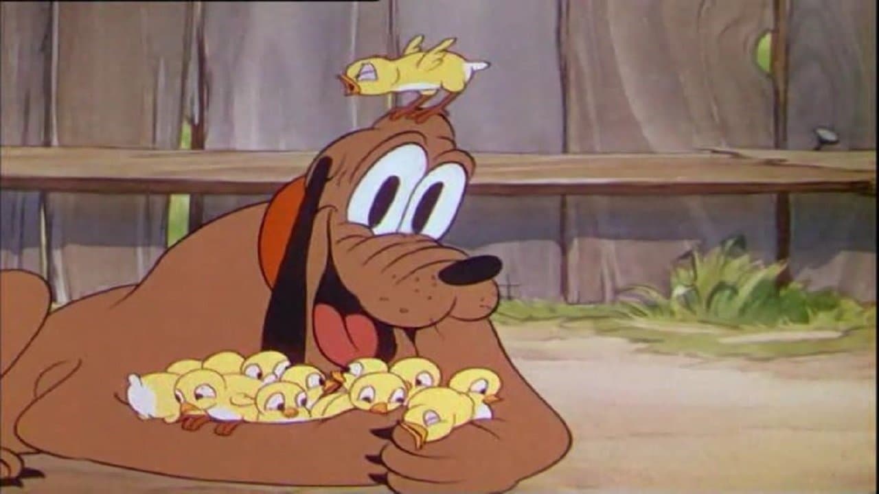 Pluto fra i pulcini - immagine