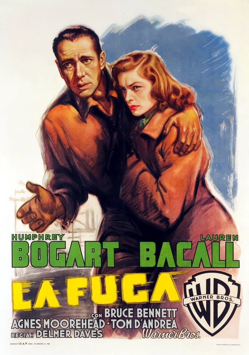 Poster di La fuga