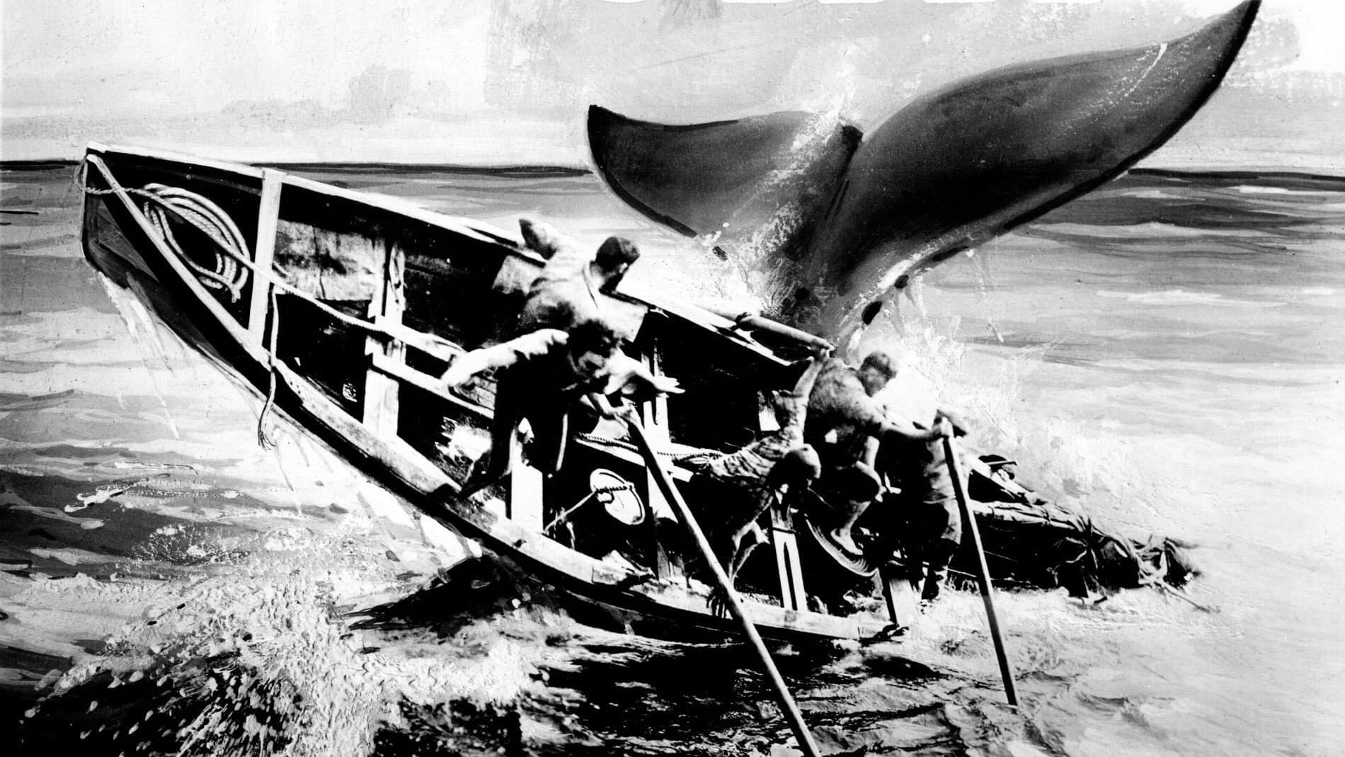 Naviganti coraggiosi - immagine