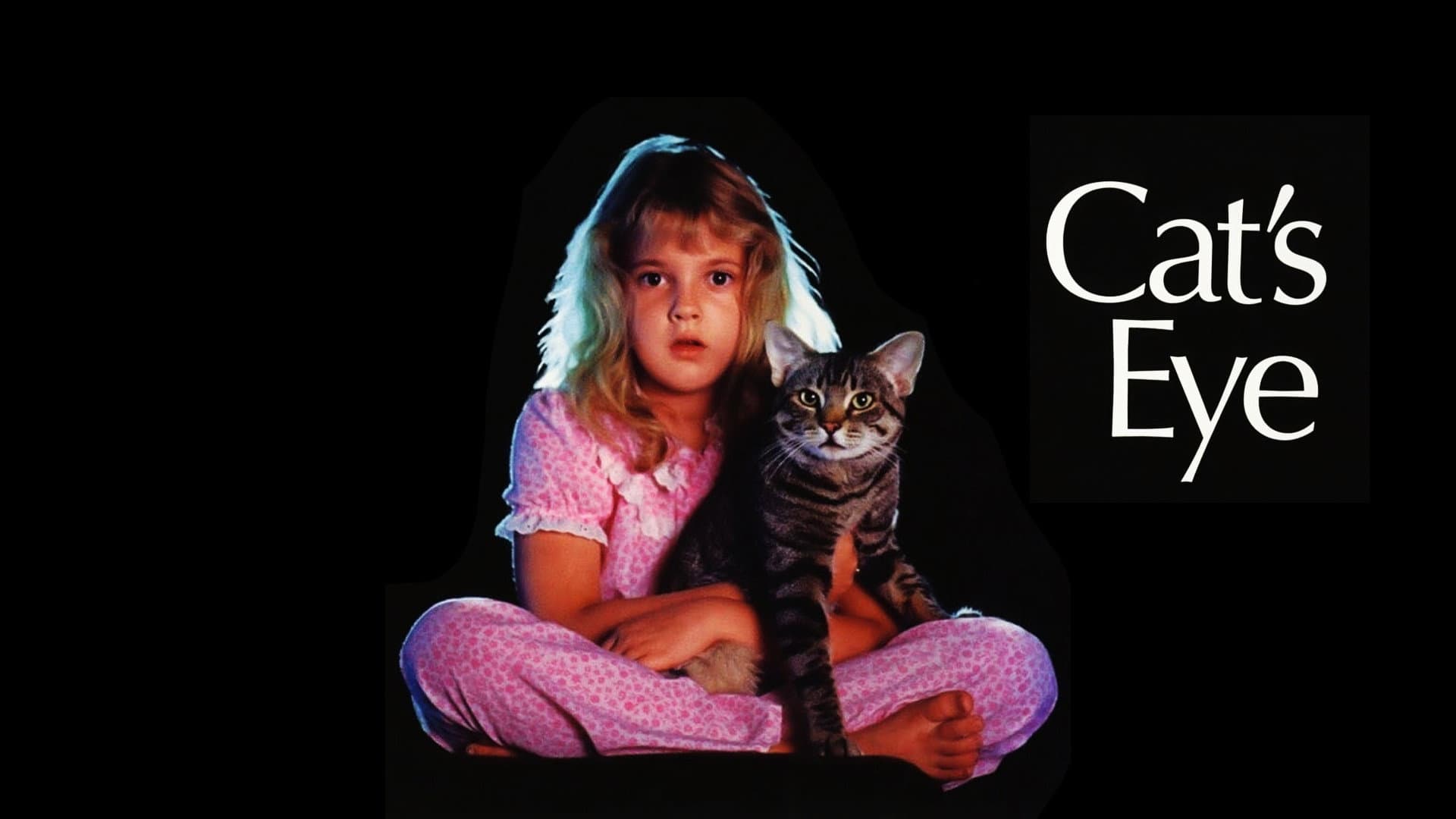 L'occhio del gatto - immagine
