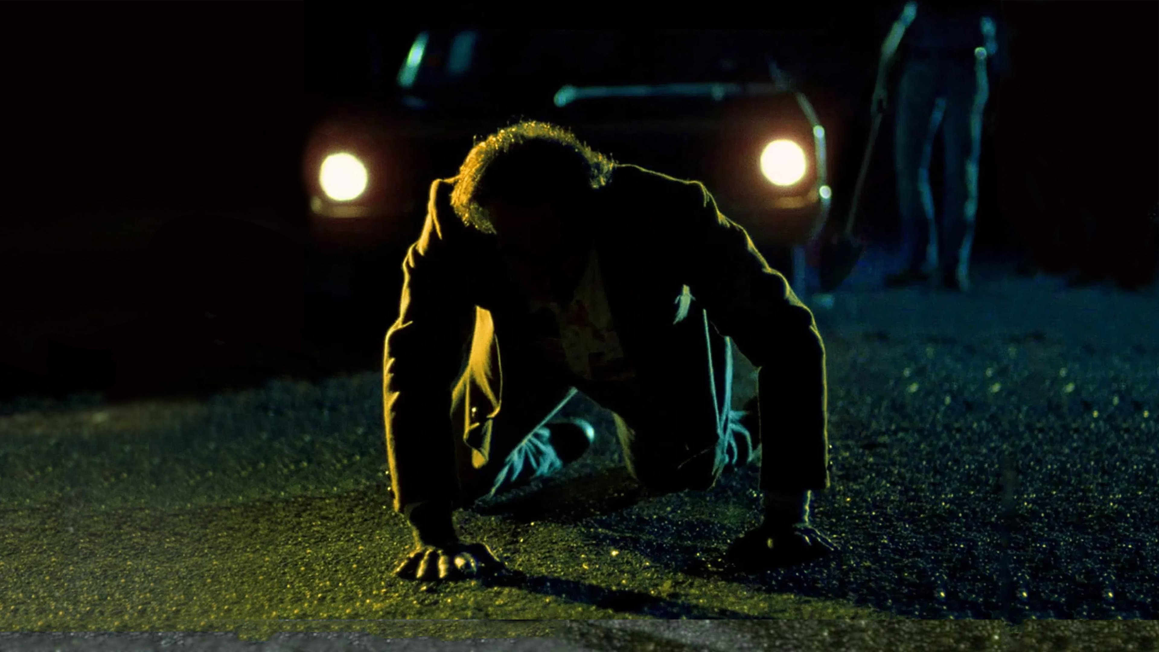 Blood Simple - Sangue facile - immagine