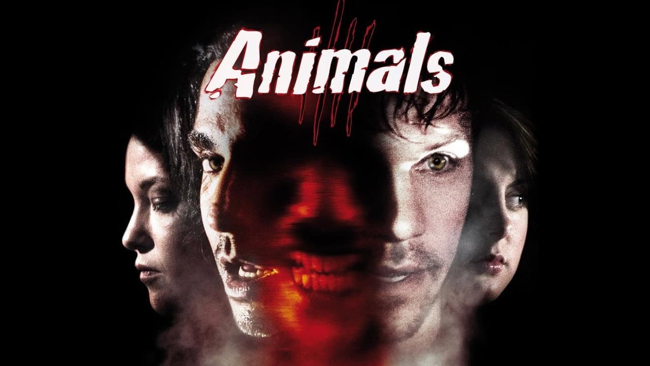 Animals - immagine