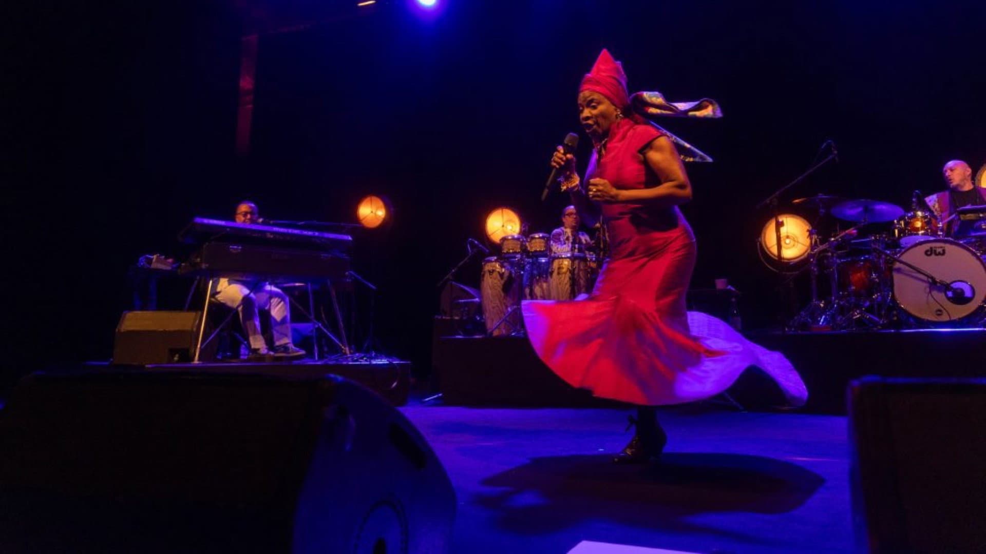 Angélique Kidjo : 40 ans de carrière - immagine