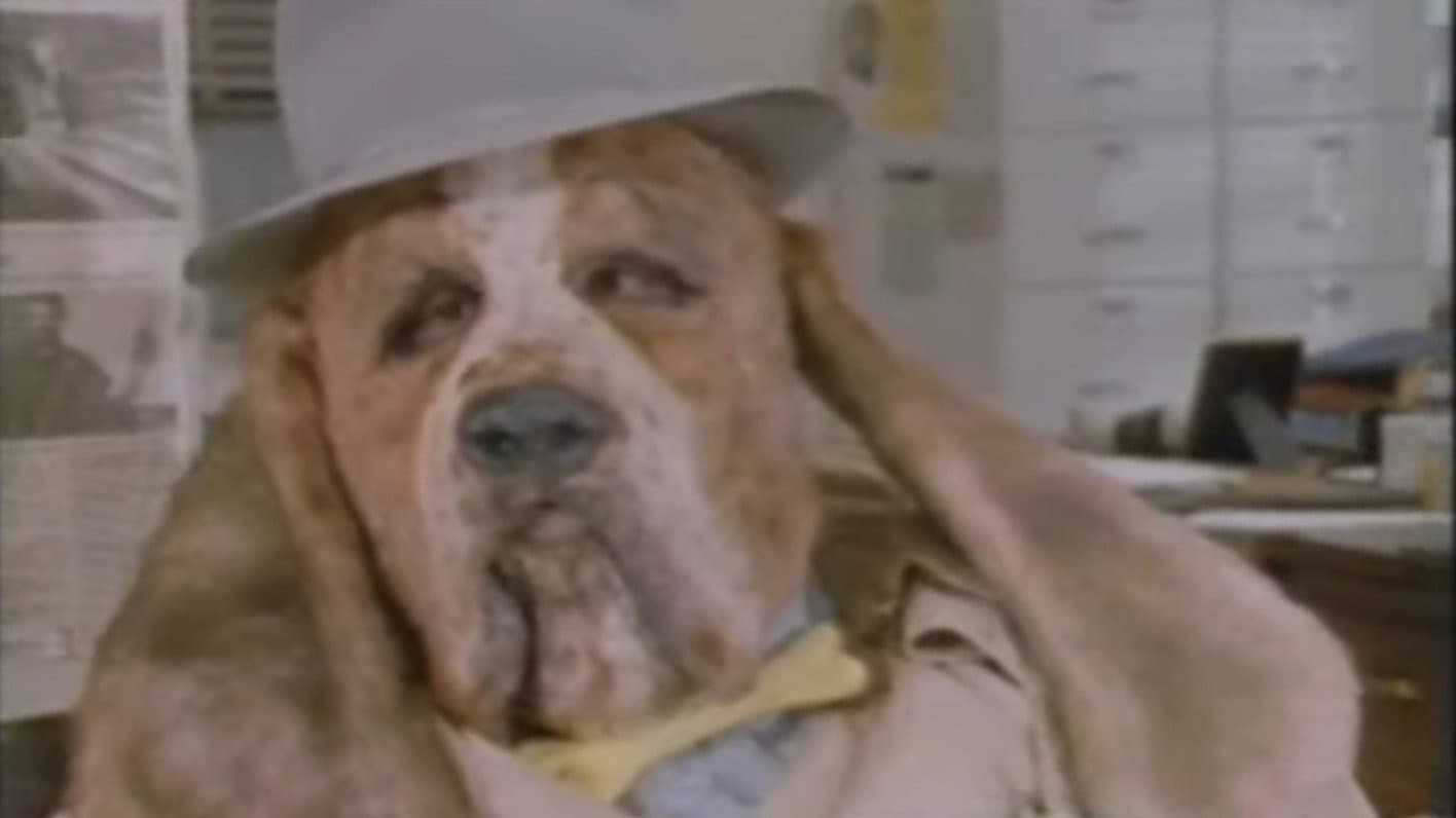 The Dog Police - immagine