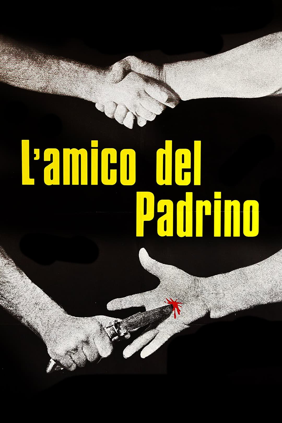 Poster di L'amico del padrino