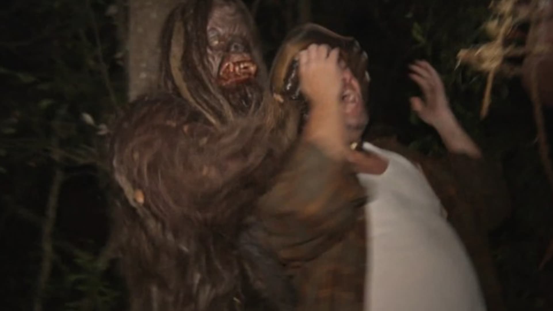 The Wild Man - immagine
