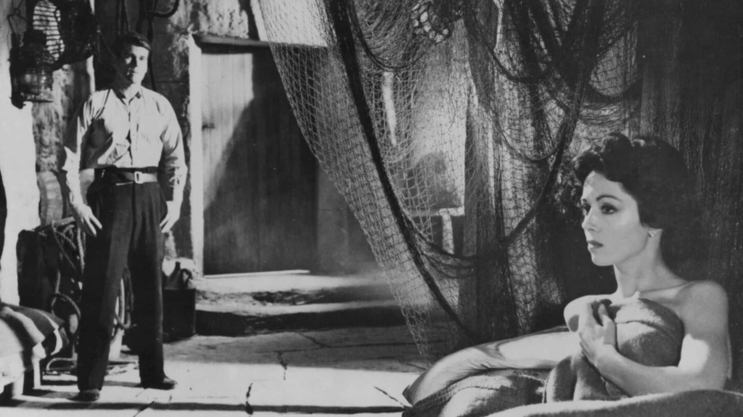 Il fronte della violenza - immagine