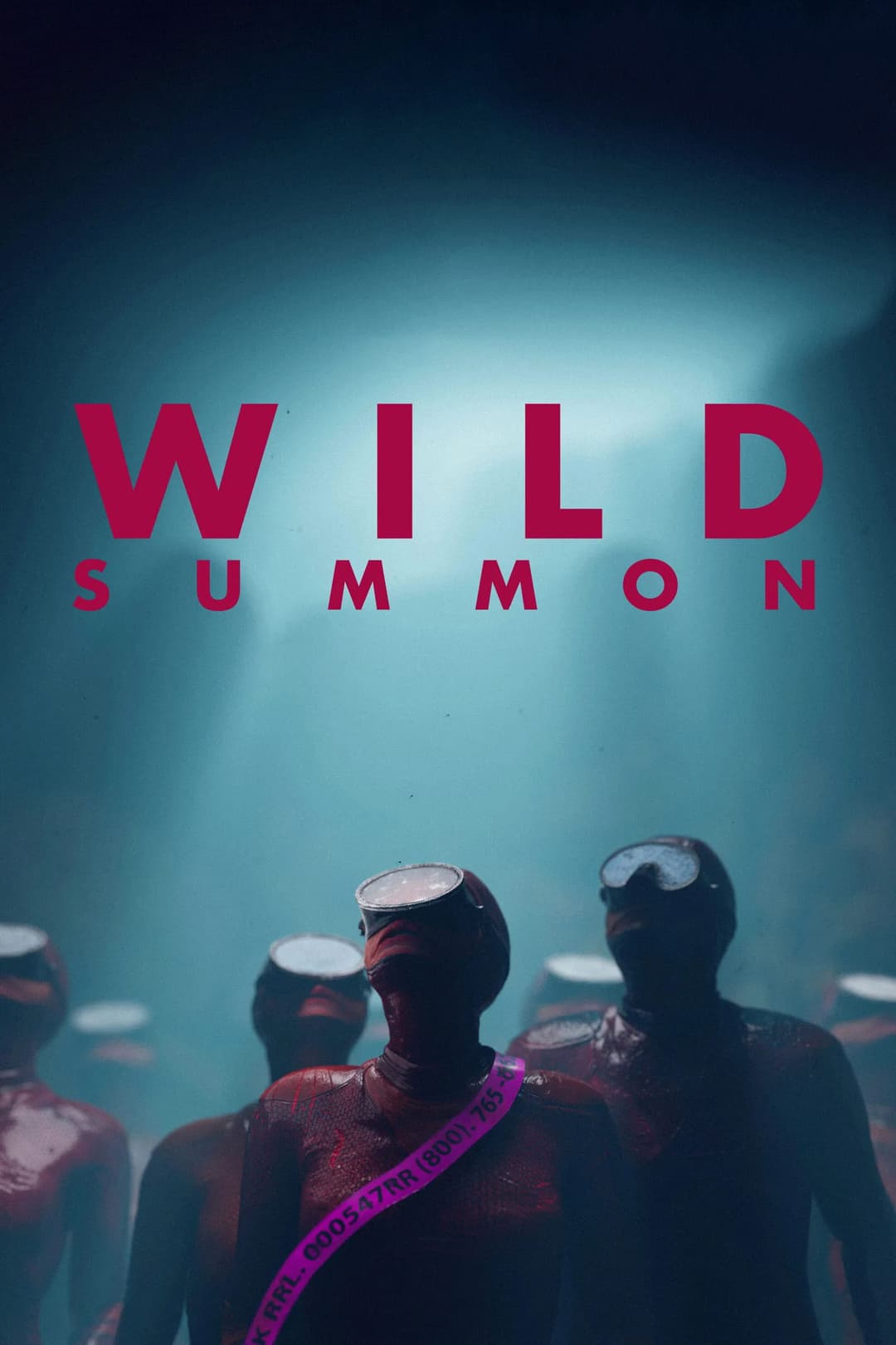 Poster di Wild Summon
