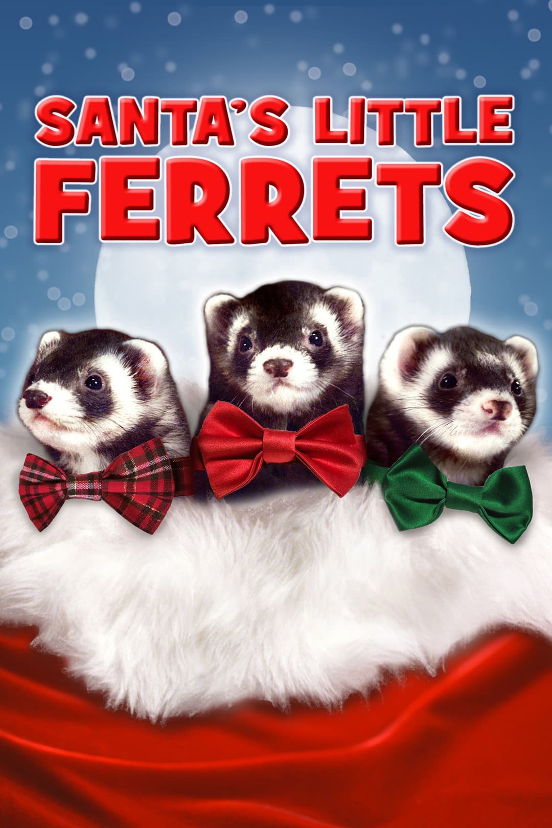 Poster di Santa's Little Ferrets