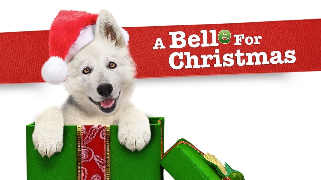 Natale a 4 zampe - immagine