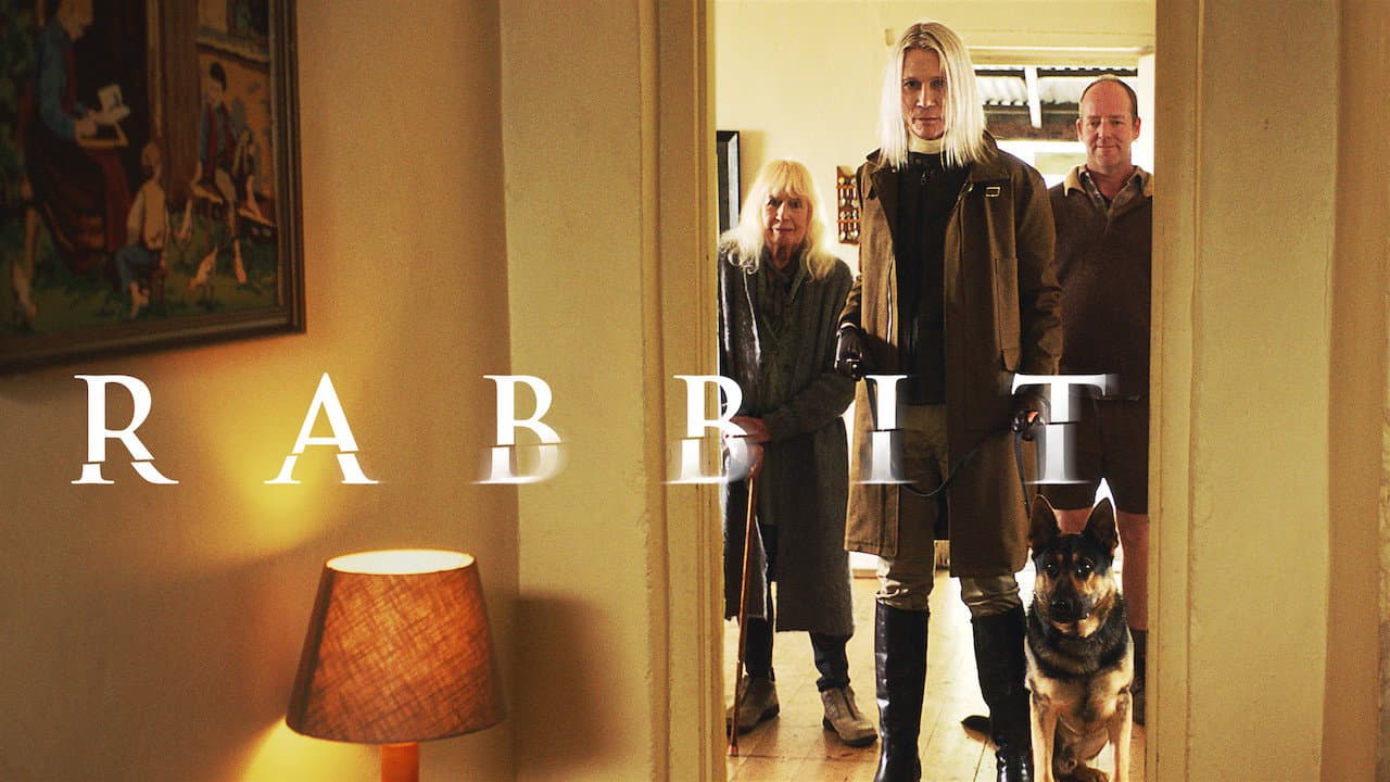 Rabbit - immagine