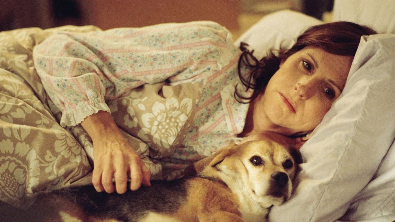 L'anno del cane - immagine