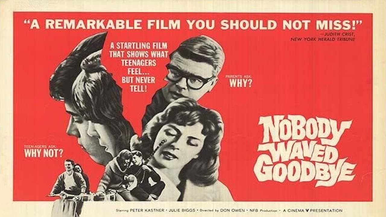 Nobody Waved Goodbye - immagine