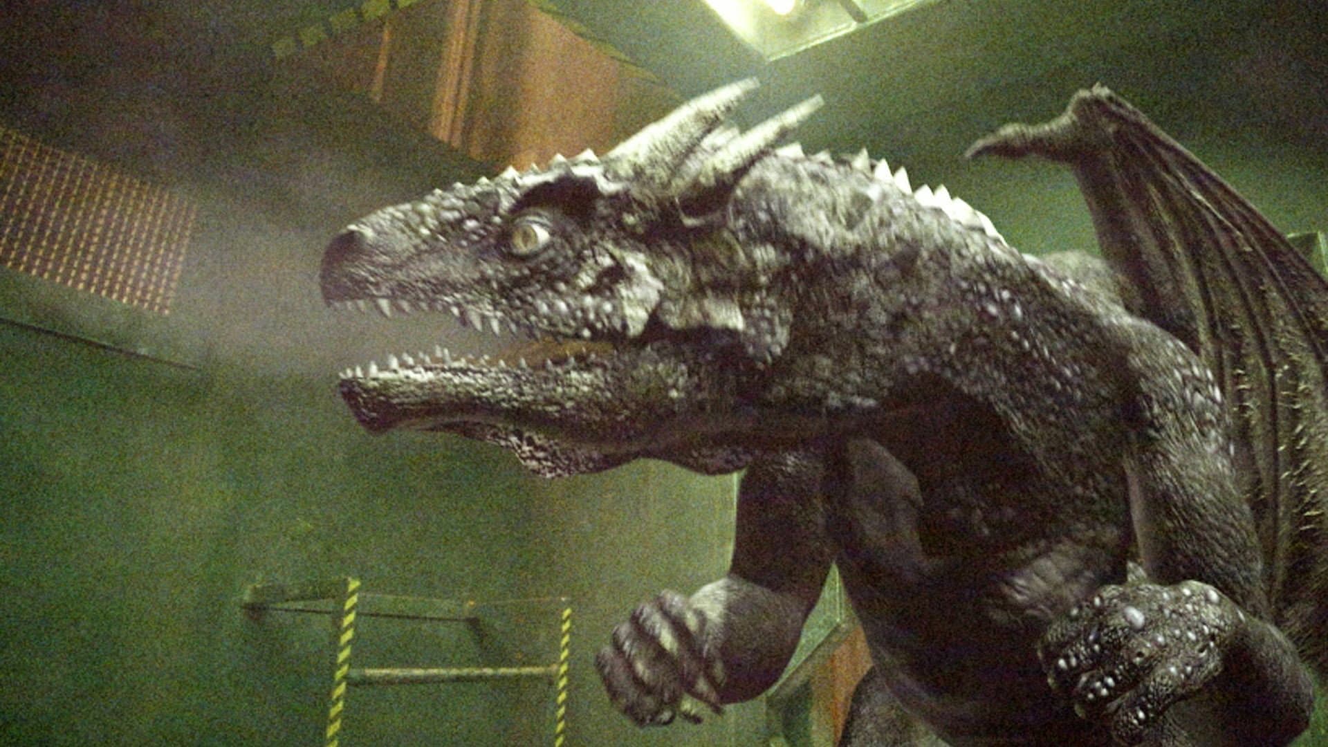 Dragon Fighter - immagine
