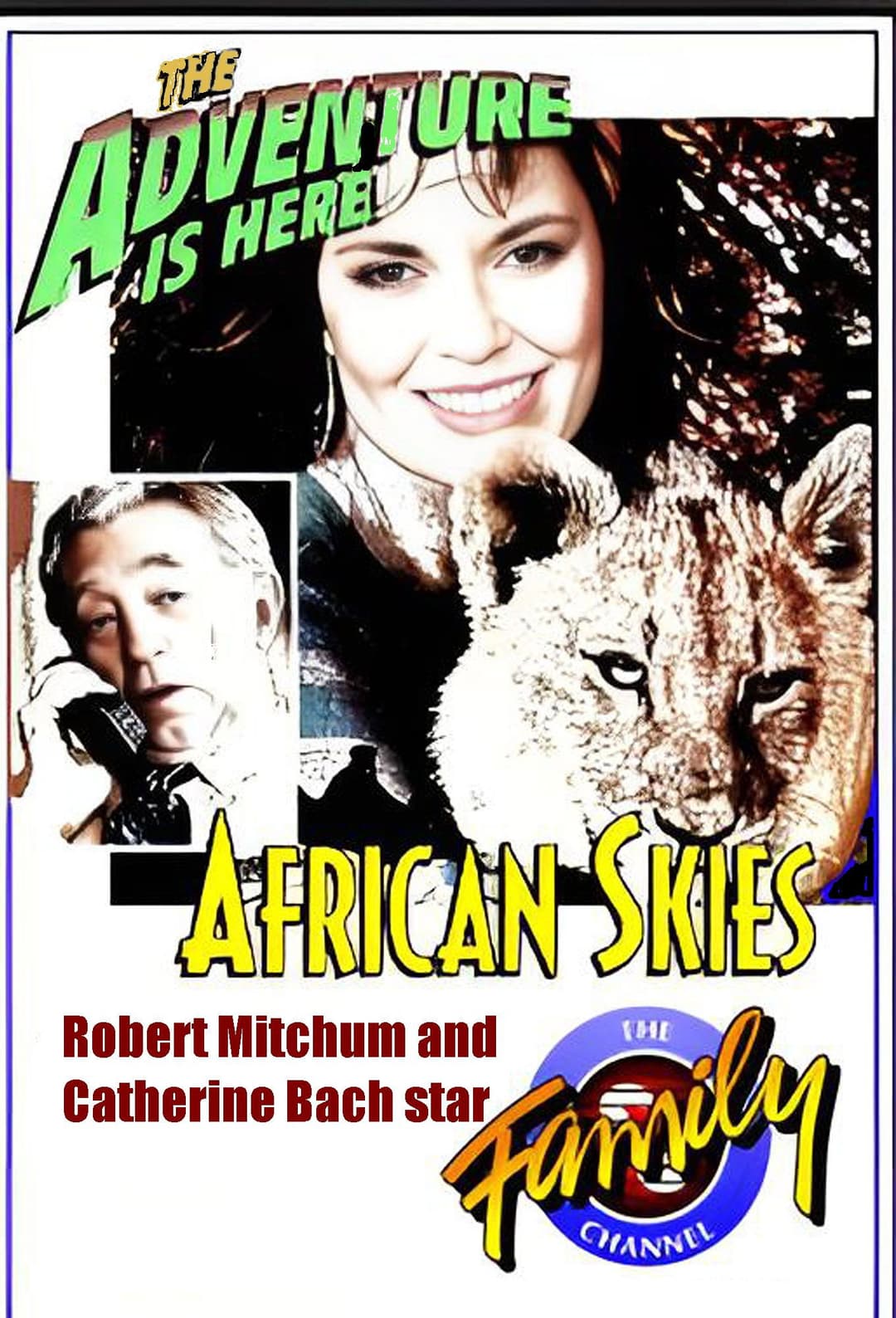Poster di African Skies