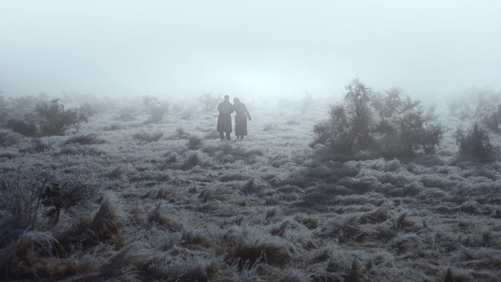 Went Up the Hill - immagine