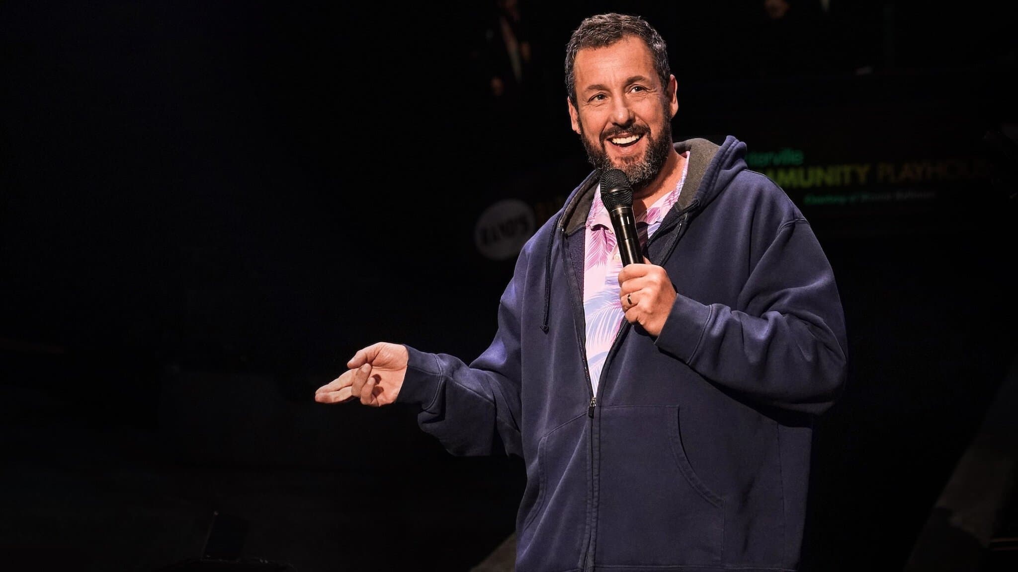 Adam Sandler: Love You - immagine