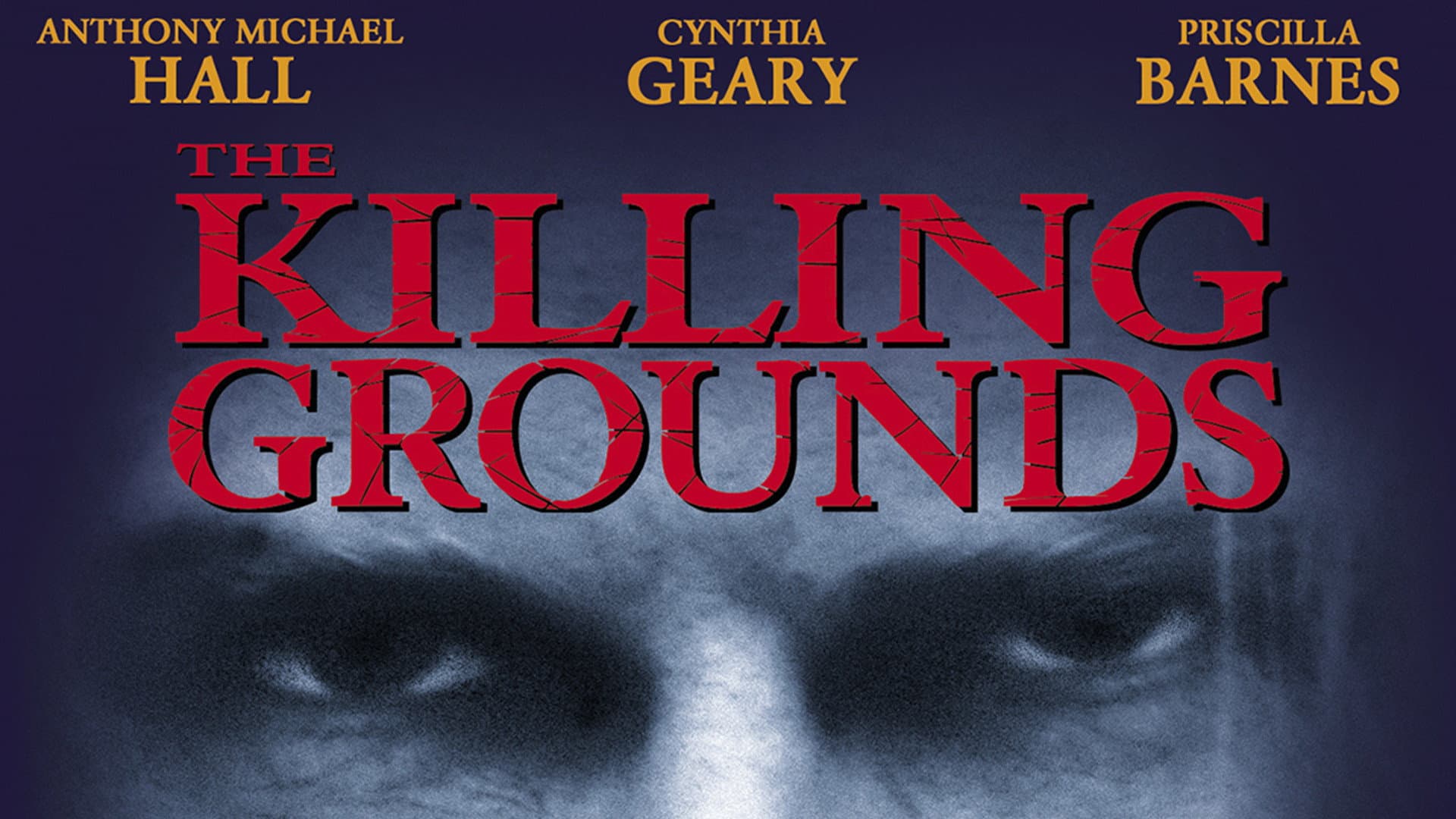 The Killing Grounds - immagine