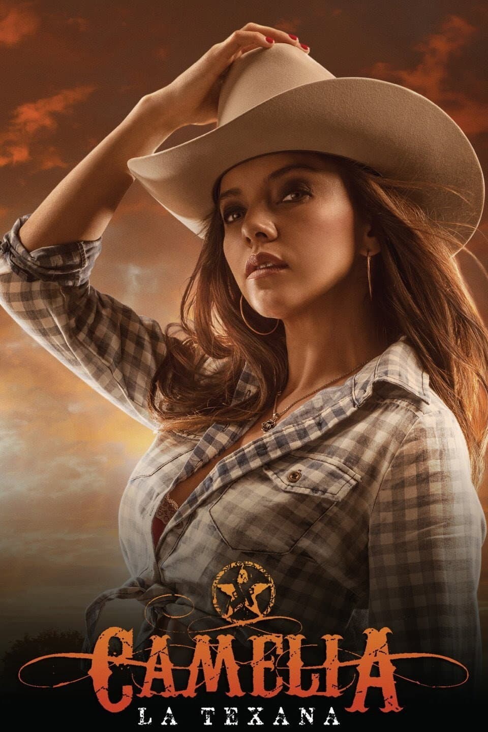 Poster di Camelia La Texana
