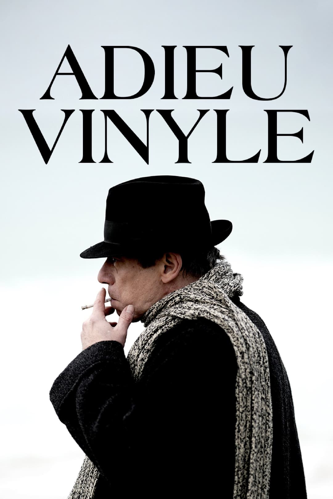 Poster di Adieu Vinyle