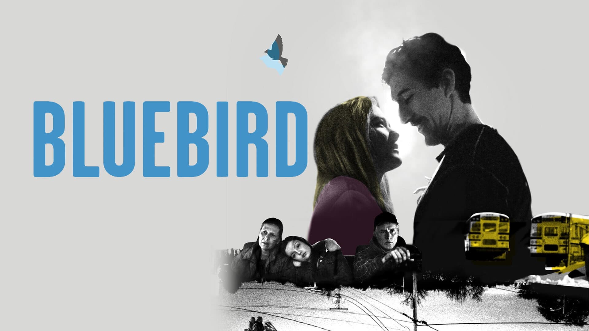 Bluebird - immagine