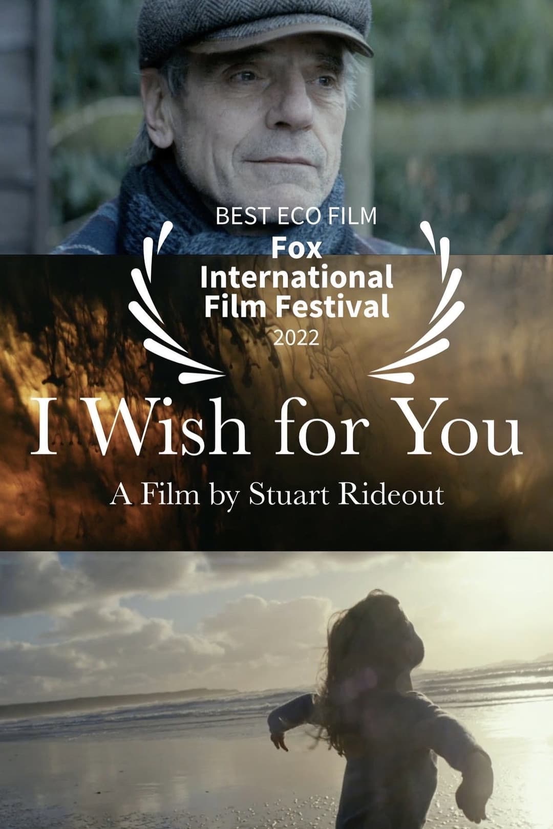 Poster di I Wish For You