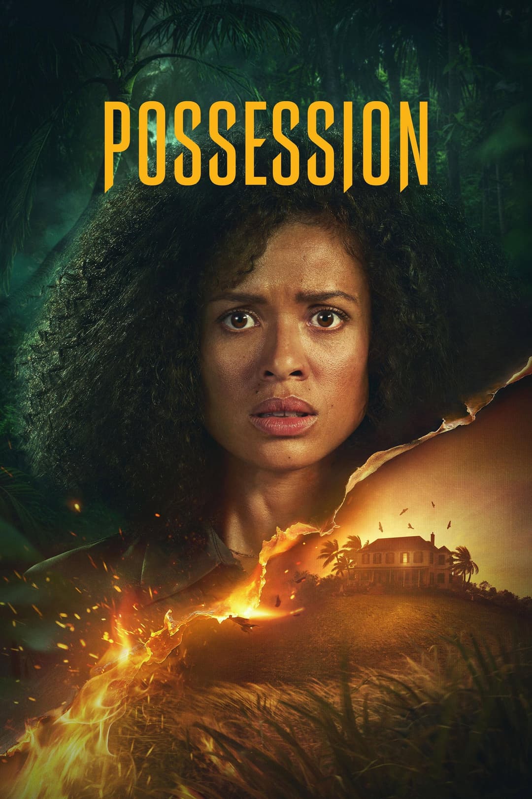 Poster di Possession