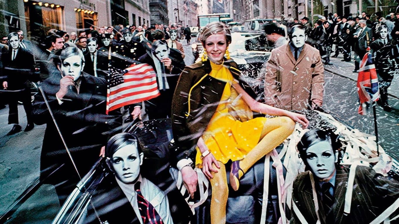 Twiggy - immagine