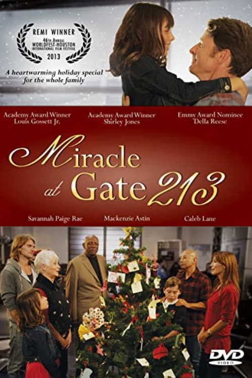 Poster di Miracle at Gate 213