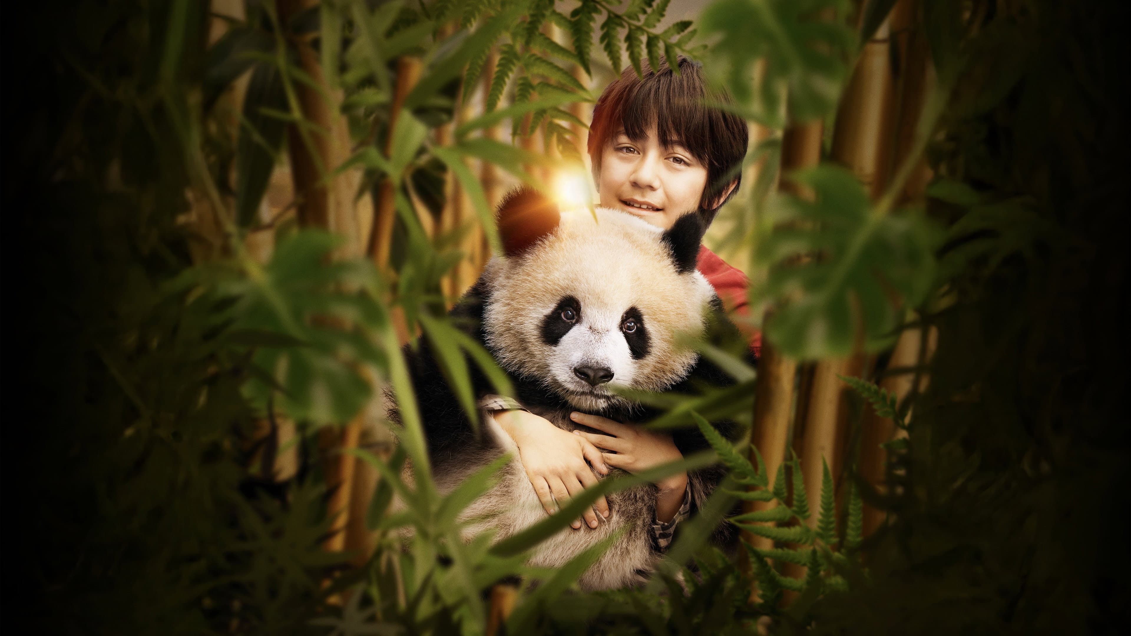 Moon il panda - immagine