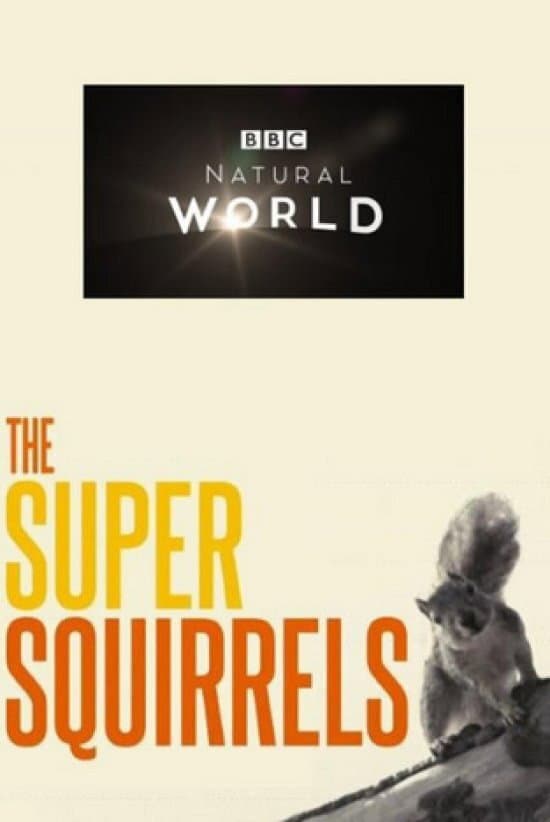 Poster di The Super Squirrels