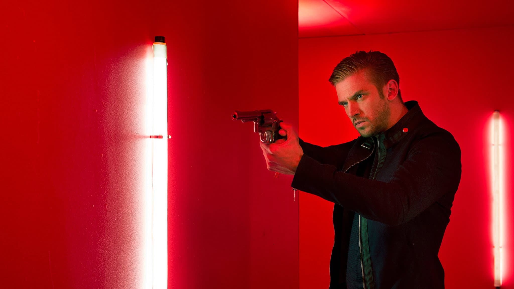 The Guest - immagine
