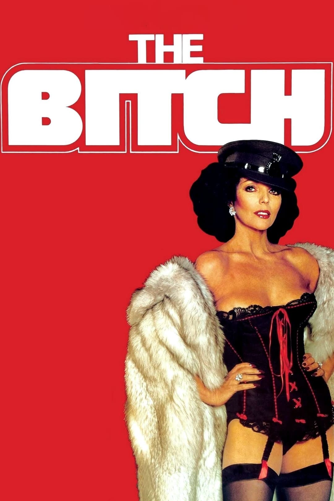 Poster di The Bitch