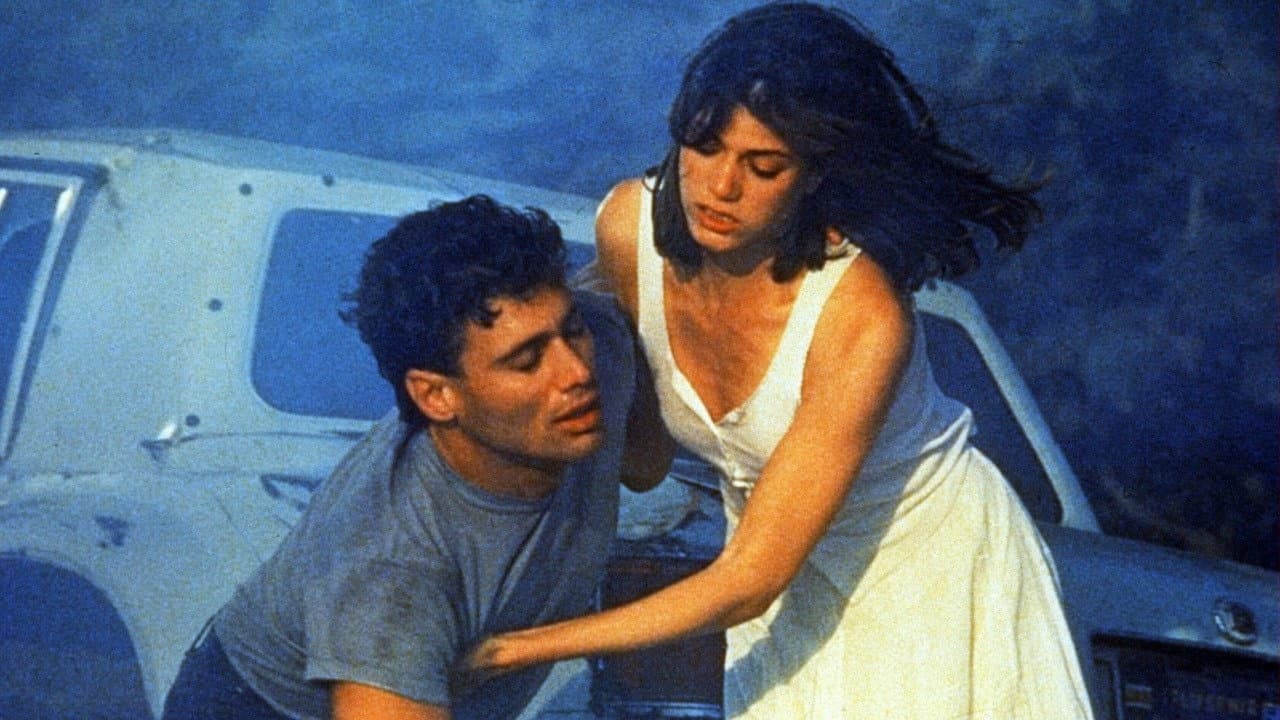 Wildfire - All'improvviso un maledetto amore - immagine