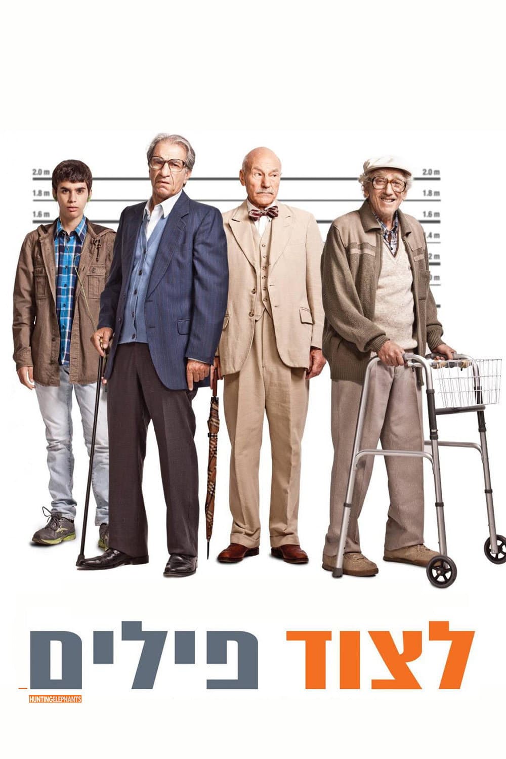 Poster di לצוד פילים