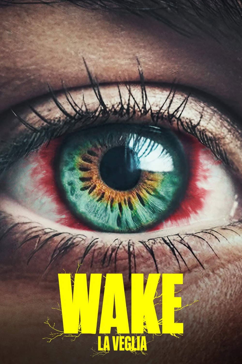 Poster di Wake - La Veglia