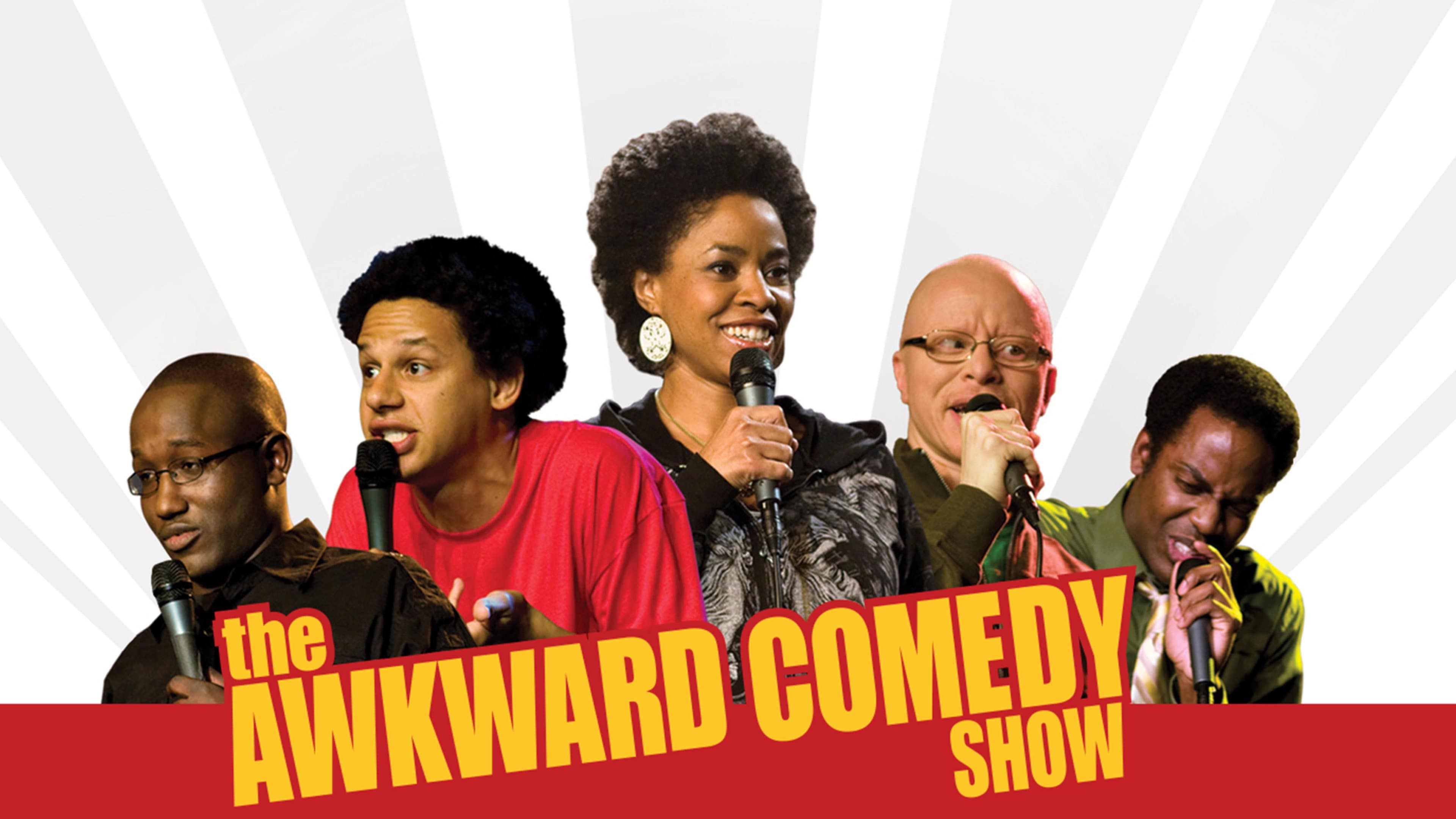 The Awkward Comedy Show - immagine