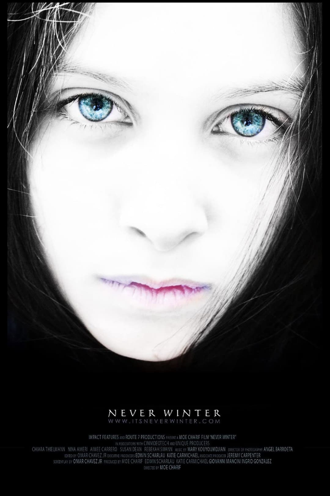 Poster di Never Winter