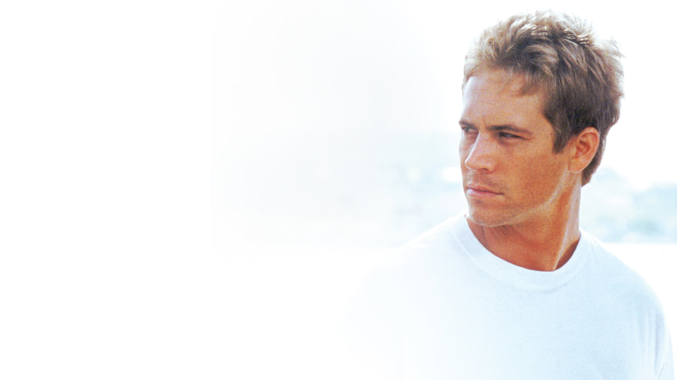 I Am Paul Walker - immagine