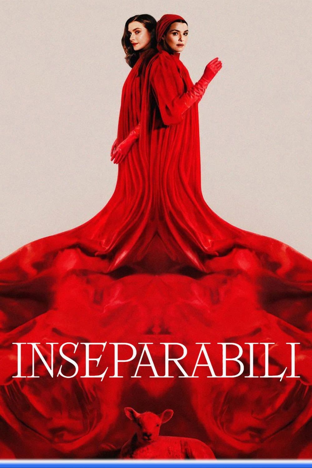 Poster di Inseparabili