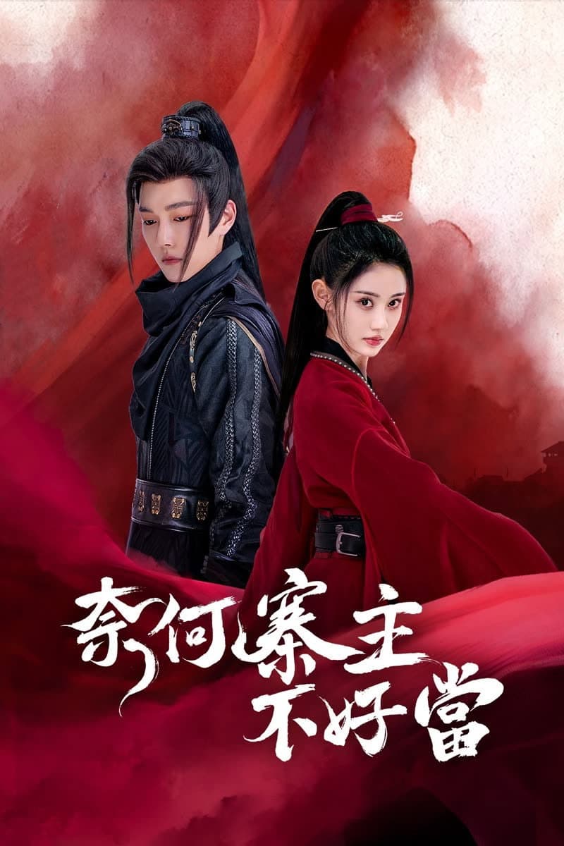 Poster di 奈何寨主不好当