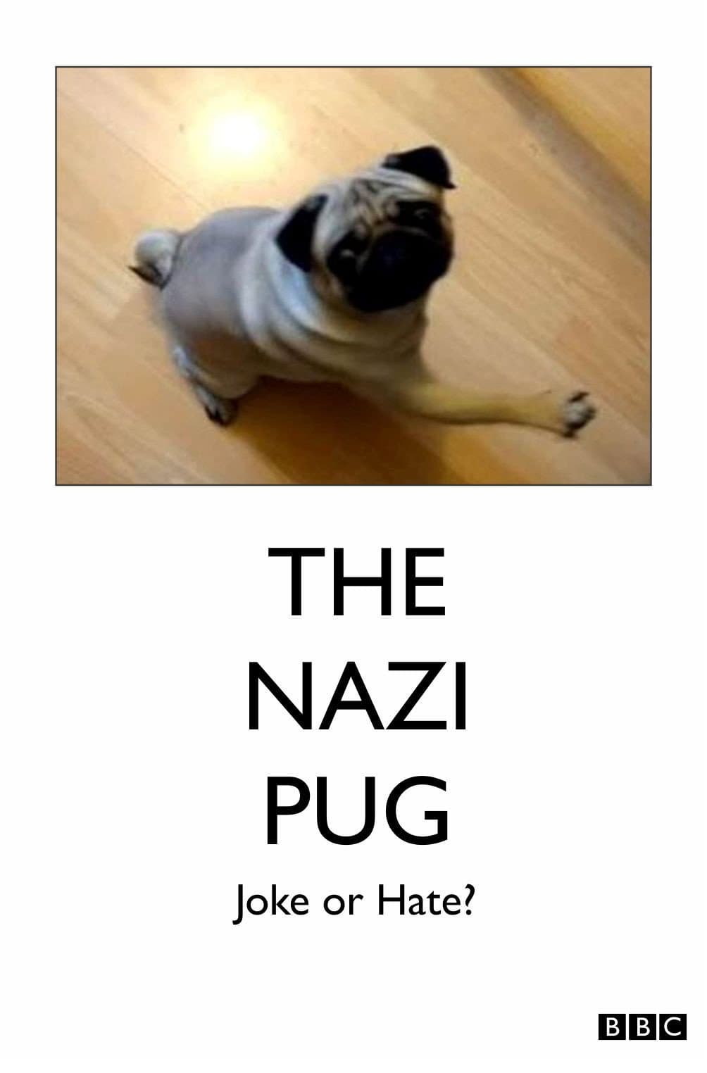 Poster di The Nazi Pug: Joke or Hate?