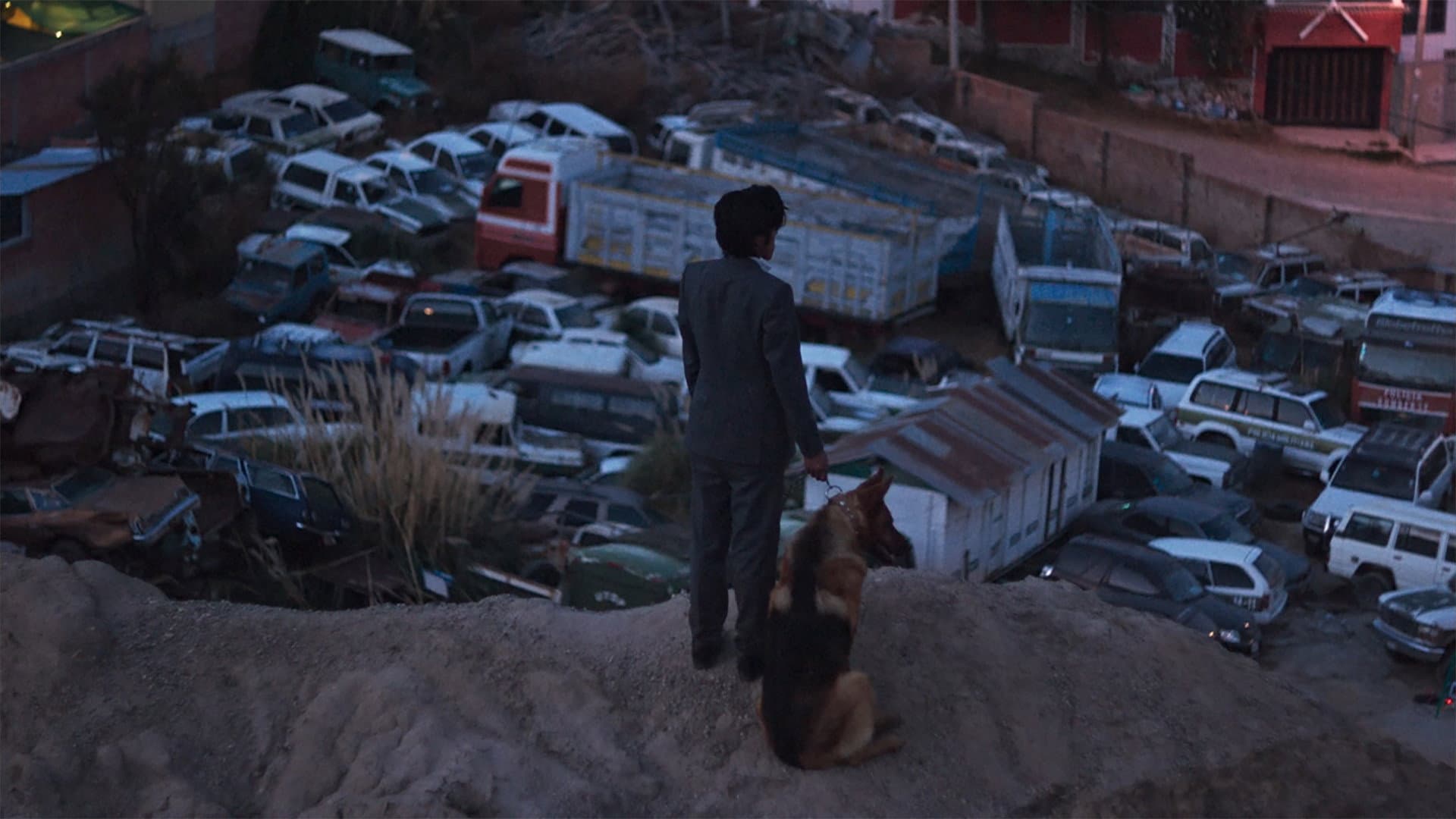 Il ladro di cani - immagine