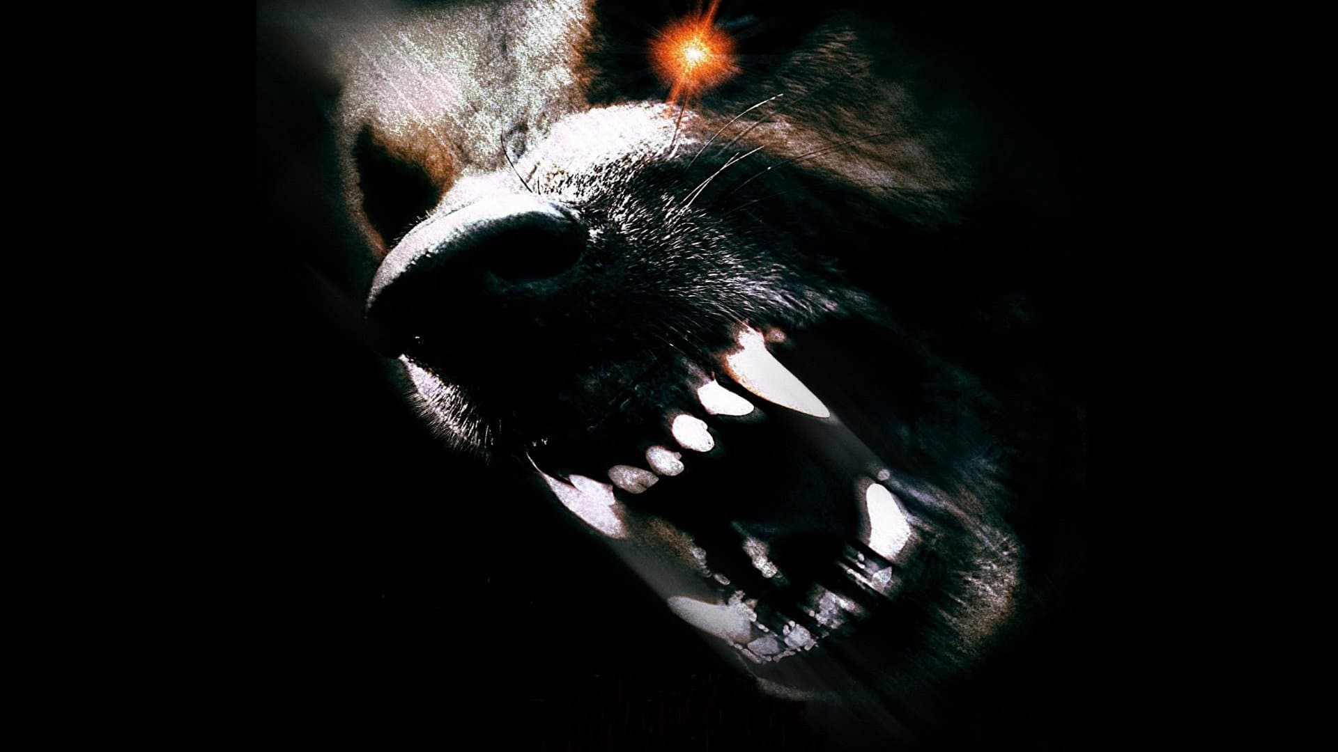Hellhounds - immagine