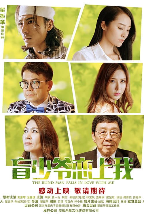 Poster di 盲少爷恋上我